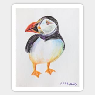 Puffin - drawing with color pencils Sticker